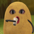 ͷ��