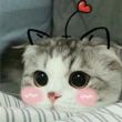 ͷ��