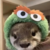 ͷ