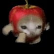 ͷ��