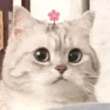 ͷ