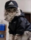 ͷ��