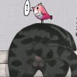 ͷ��
