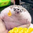 ͷ��
