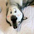 ͷ