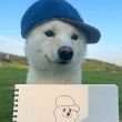 ͷ��
