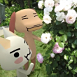 ͷ
