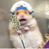 ͷ