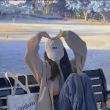 ͷ��