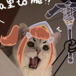 ͷ��