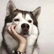 ͷ