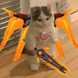 ͷ