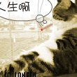 ͷ��