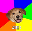 ͷ