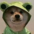 ͷ