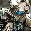 ͷ