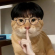 ͷ��