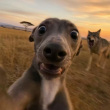 ͷ��