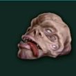 ͷ��