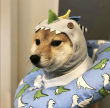 ͷ��