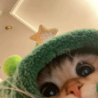 ͷ��