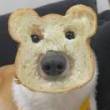 ͷ��
