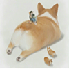 ͷ
