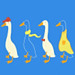 ͷ