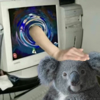 ͷ��