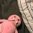 ͷ��