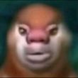 ͷ��
