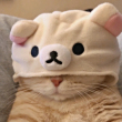 ͷ