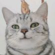 ͷ��