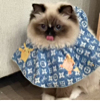 ͷ