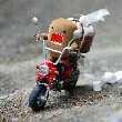 ͷ��