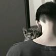 ͷ
