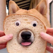 ͷ��