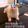 ͷ��