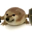 ͷ��