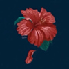 ͷ