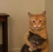 ͷ��