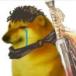 ͷ��