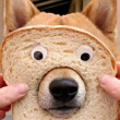 ͷ