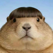 ͷ��