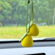 ͷ��