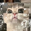 ͷ