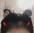ͷ