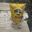 ͷ