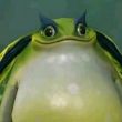 ͷ��