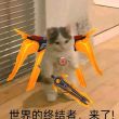 ͷ��
